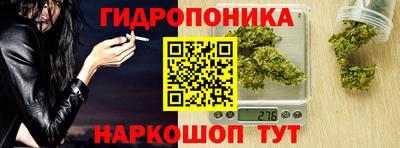 гашик Кимры
