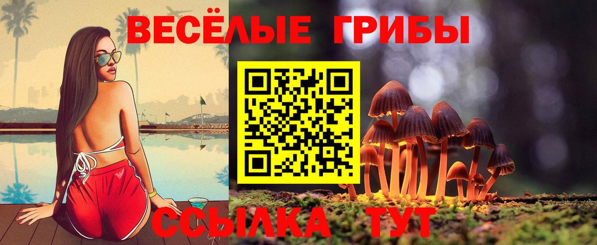 Псилоцибиновые грибы прущие грибы Кореновск